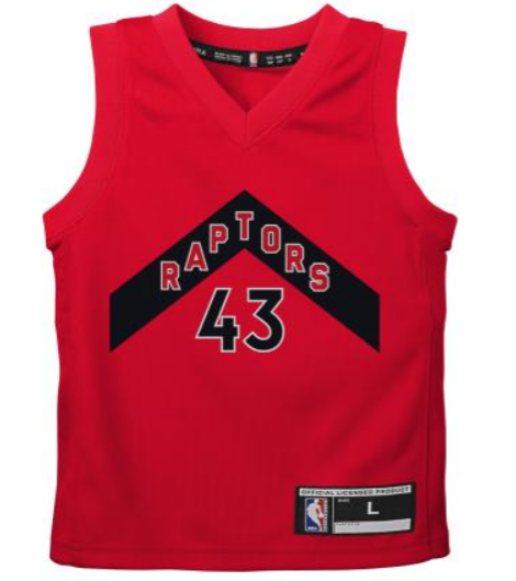 raptors youth jersey