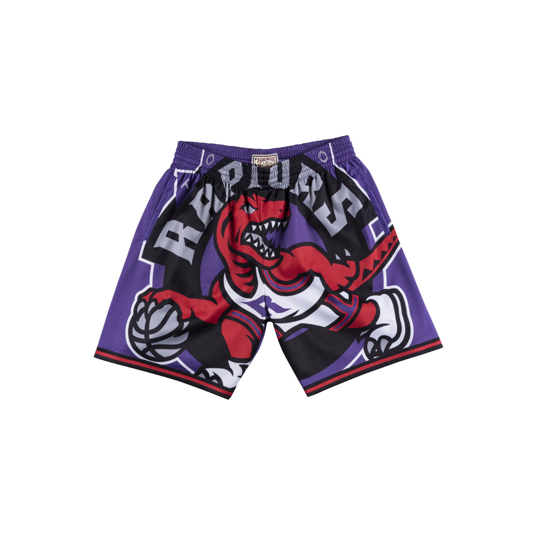 Toronto raptors sales shorts purple