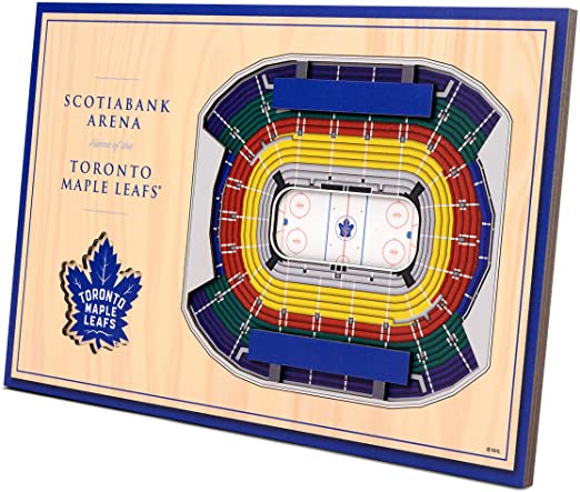 NHL Stadium view 3D Wall Art