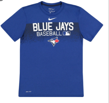 Nike Men's Toronto Blue Jays Authentic Legend Team Issue T-Shirt