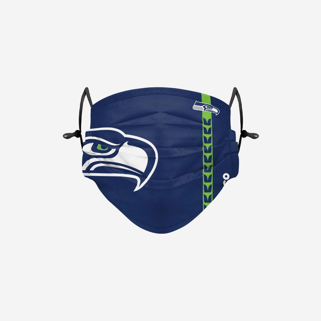 Seattle Seahawks NFL On Feild Sideline Logo Face Mask